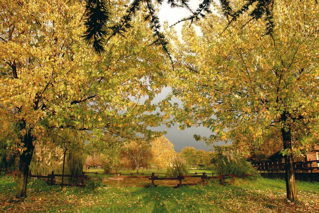 Agriturismo Monte Due Torri Дженцано-ди-Рома Экстерьер фото